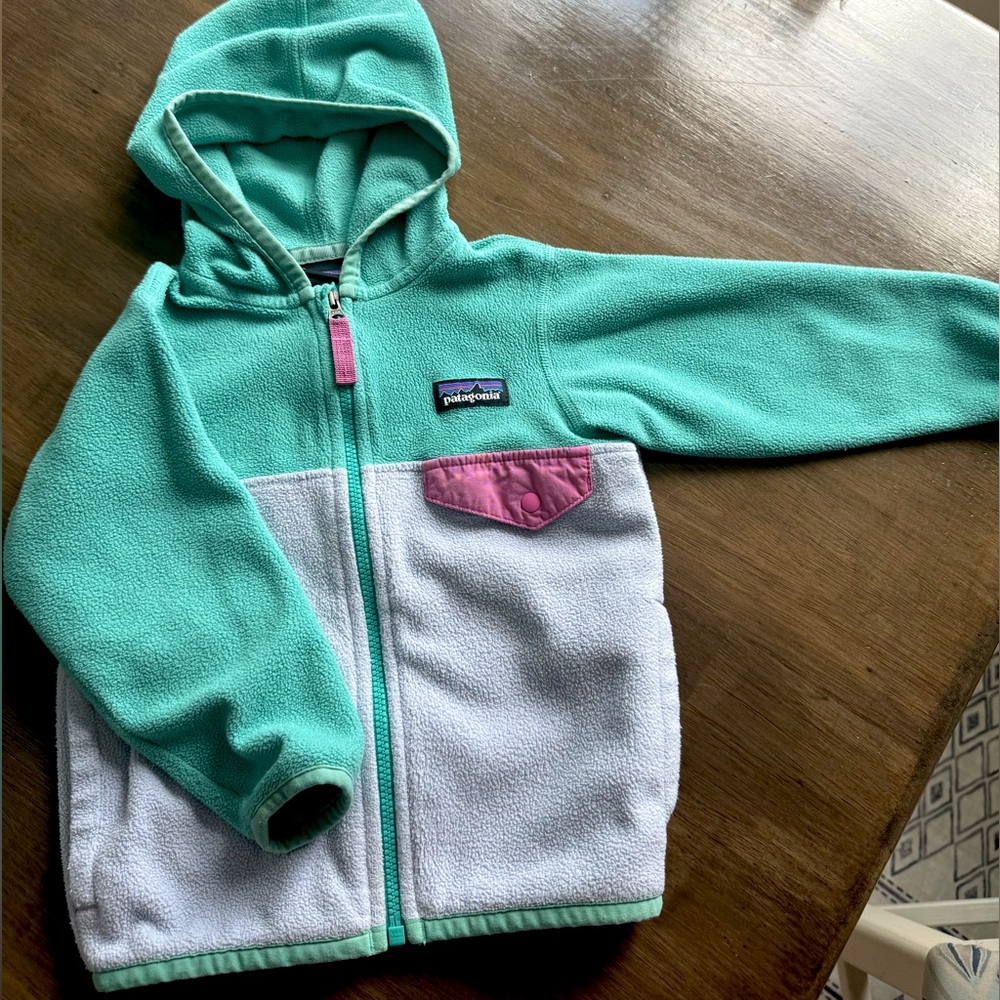 Patagonia Fleece Jacket (size 12-18m)